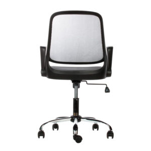 Silla lady