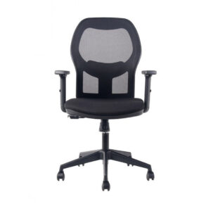 Silla Andes